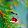 Dekorationshilfen & Werkzeug | Weihnachtskugeln^DecoWoerner Dekokugel 8 Cm Ø, 10 Stück transparent