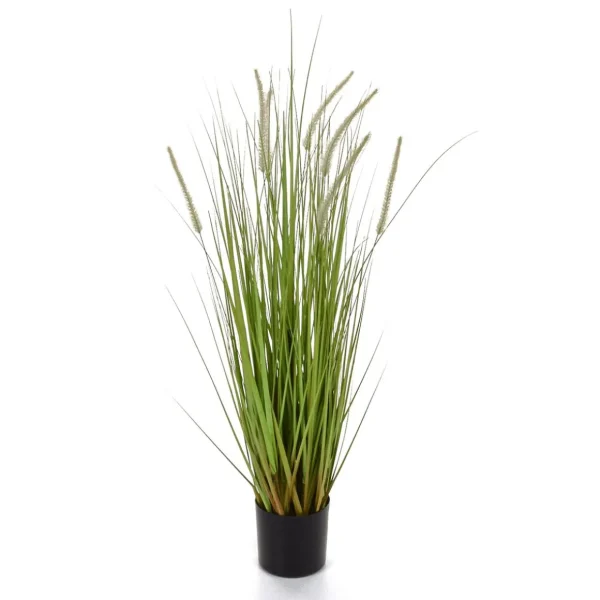 Sommerdeko | Frühlingsdeko^DecoWoerner Deko-Lampenputzergras Im Schwarzen Topf B1, 90 Cm grün
