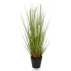 Sommerdeko | Dekogras^DecoWoerner Deko-Lampenputzergras Im Schwarzen Topf B1, 54 Cm grün