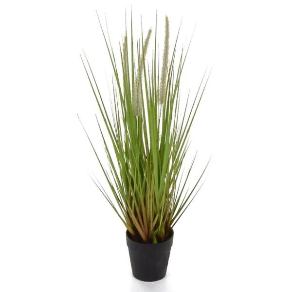 Sommerdeko | Dekogras^DecoWoerner Deko-Lampenputzergras Im Schwarzen Topf B1, 54 Cm grün