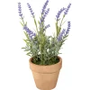 Frühlingsdeko | Zimmerpflanzen^DecoWoerner Deko-Lavendel Im Topf, 22 Cm violett