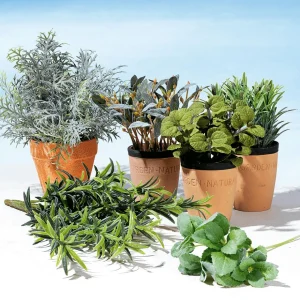 Zimmerpflanzen | Gemüse & Kräuter^DecoWoerner Deko-Minze Im Ton-Topf 20 Cm grün