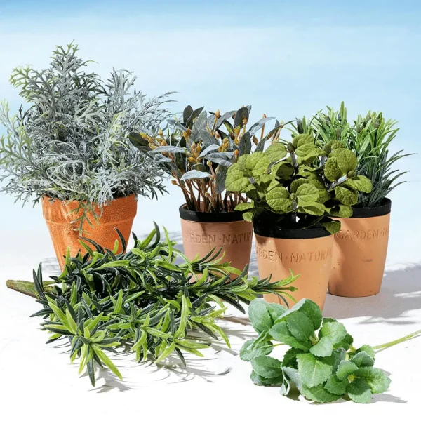 Zimmerpflanzen | Gemüse & Kräuter^DecoWoerner Deko-Minze Im Ton-Topf 20 Cm grün