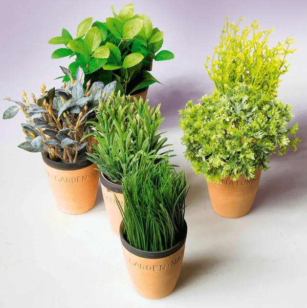 Zimmerpflanzen | Gemüse & Kräuter^DecoWoerner Deko-Minze Im Ton-Topf 20 Cm grün