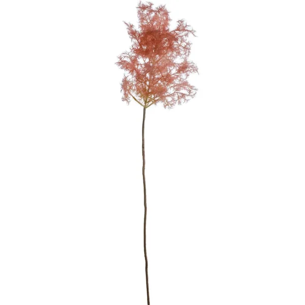 Äste & Zweige | Dekogras^DecoWoerner Dekoschilf Pampasgras, 90 Cm rosa