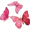 Dekotiere | Frühlingsdeko^DecoWoerner Deko-Schmetterling "Flamingo Pink", 28 Cm, 3 Stück rosa