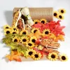 Herbstdeko | Sommerdeko^DecoWoerner Deko-Sparpaket "Herbstliche Tischdeko"