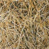 Stoffe | Herbstdeko^DecoWoerner Dekostoff “Stroh“ 150 Cm Breit braun