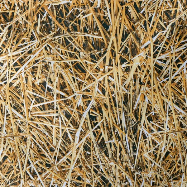 Stoffe | Herbstdeko^DecoWoerner Dekostoff “Stroh“ 150 Cm Breit braun