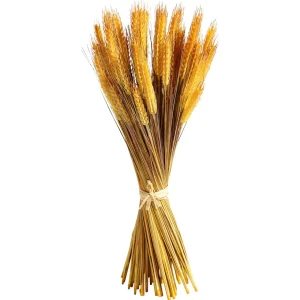 Herbstdeko | Dekogras^DecoWoerner Deko-Weizenbündel 60 Cm gelb