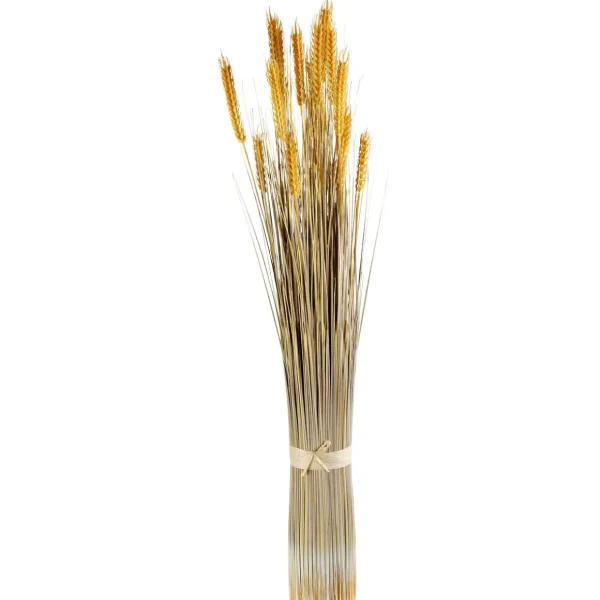 Herbstdeko | Dekogras^DecoWoerner Deko-Weizenbündel 90 Cm gelb