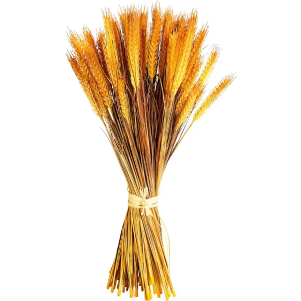 Herbstdeko | Dekogras^DecoWoerner Deko-Weizenbündel 60 Cm gelb
