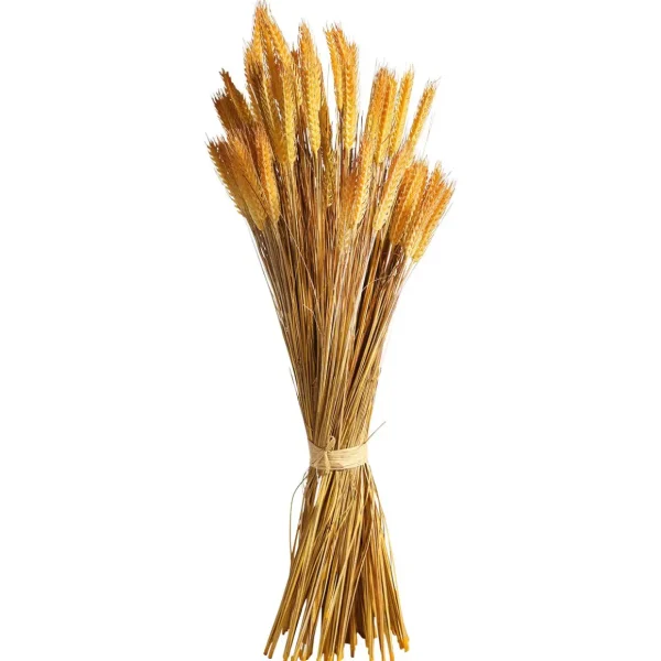 Herbstdeko | Dekogras^DecoWoerner Deko-Weizenbündel 90 Cm gelb
