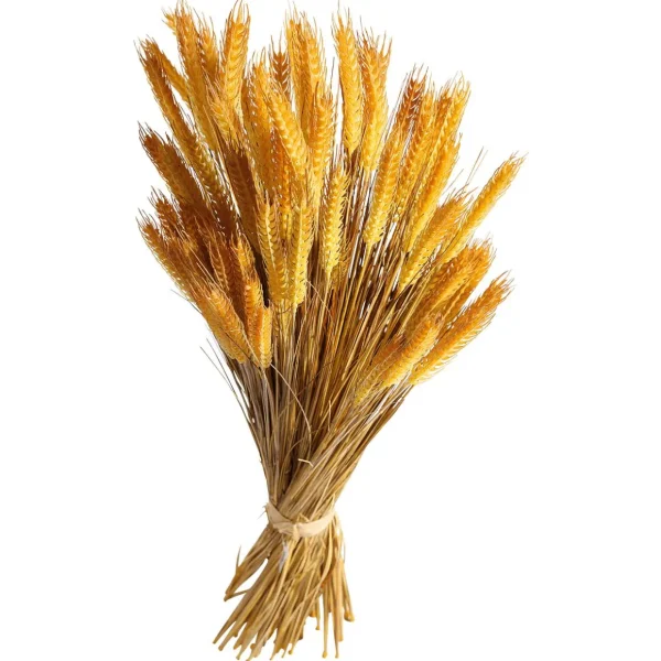 Herbstdeko | Dekogras^DecoWoerner Deko-Weizenbündel 90 Cm gelb