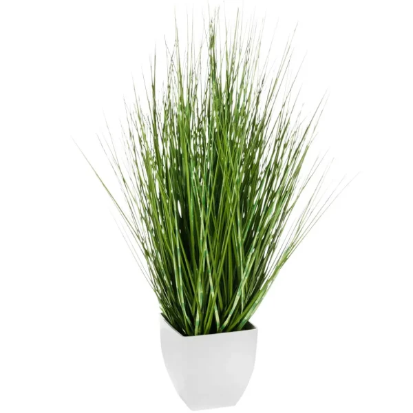 Zimmerpflanzen | Dekogras^DecoWoerner Deko-Zebragras Im Weißen Topf 78 Cm grün