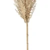 Äste & Zweige^DecoWoerner Dekozweig Schilfblüte, 94 Cm Beige