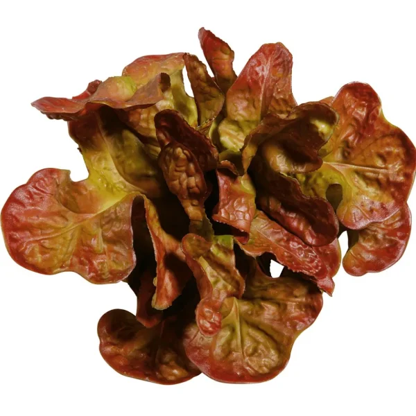 Gemüse & Kräuter^DecoWoerner Eichblattsalat Lebensmittel-Attrappe, 23 Cm Ø rot