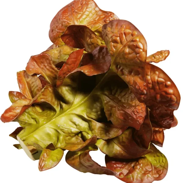 Gemüse & Kräuter^DecoWoerner Eichblattsalat Lebensmittel-Attrappe, 23 Cm Ø rot