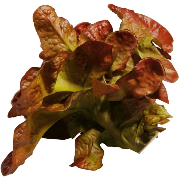 Gemüse & Kräuter^DecoWoerner Eichblattsalat Lebensmittel-Attrappe, 23 Cm Ø rot