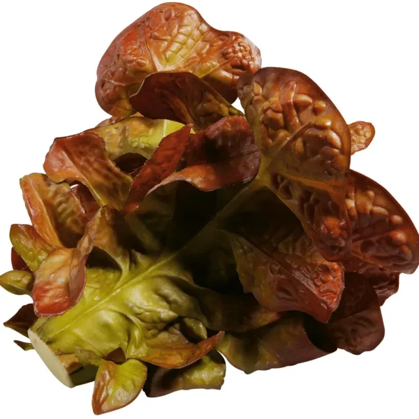 Gemüse & Kräuter^DecoWoerner Eichblattsalat Lebensmittel-Attrappe, 23 Cm Ø rot