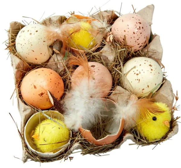 Osterdeko^DecoWoerner Eier-Küken-Schachtel braun