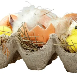 Osterdeko^DecoWoerner Eier-Küken-Schachtel braun