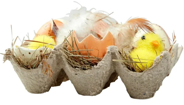 Osterdeko^DecoWoerner Eier-Küken-Schachtel braun