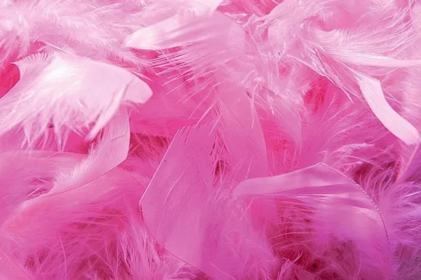 Themen-Deko^DecoWoerner Federboa, , 180 Cm rosa