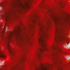 Themen-Deko^DecoWoerner Federboa, , 180 Cm rot