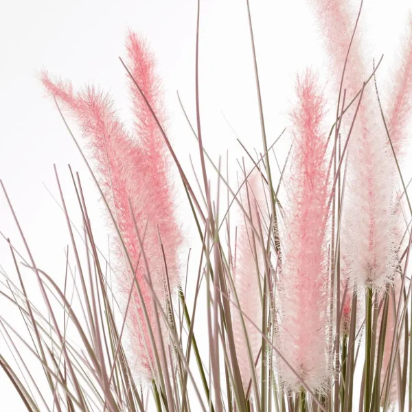 Dekogras^DecoWoerner Feines Deko-Federborstengras In Silber- Im Edlen Zinktopf 70 Cm rosa