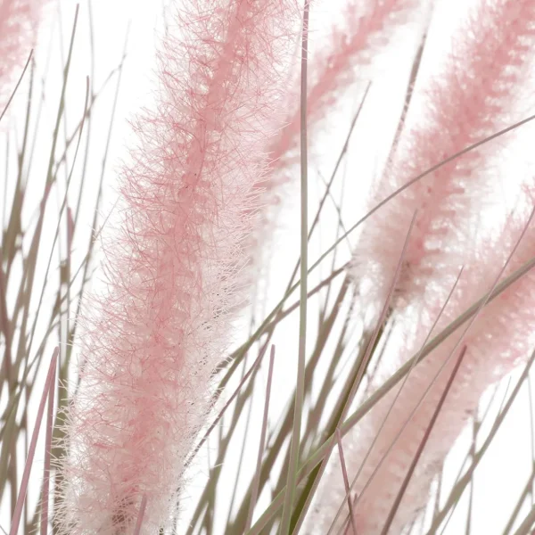 Dekogras^DecoWoerner Feines Deko-Federborstengras In Silber- Im Edlen Zinktopf 70 Cm rosa