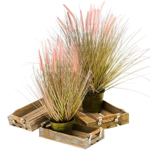 Dekogras^DecoWoerner Feines Deko-Federborstengras In Silber- Im Zinktopf 57 Cm rosa