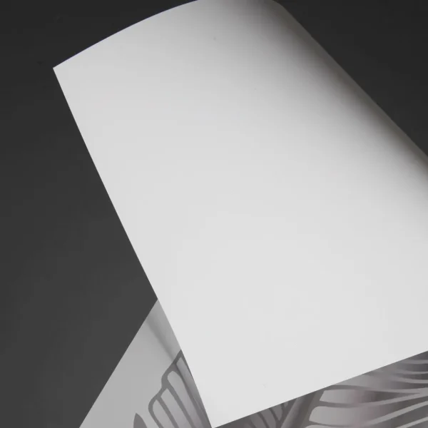 Themen-Deko | Themen-Banner^DecoWoerner Folien-Banner Feder, 139 Cm Lang transparent