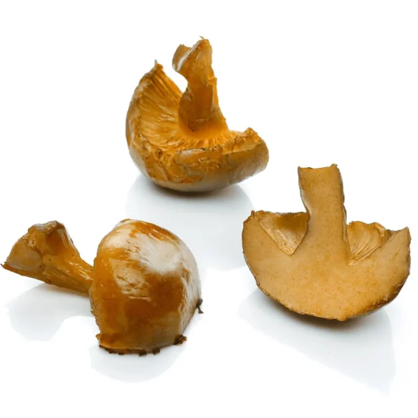 Gerichte & Fast-Food | Gemüse & Kräuter^DecoWoerner Gebratene Champignon-Hälften Lebensmittel-Attrappen braun