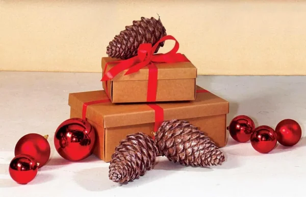 Geschenkboxen^DecoWoerner Geschenkkartons 38 X 26 X 13 Cm 10 Stück braun