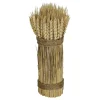Herbstdeko | Dekogras^DecoWoerner Getrocknete Weizenhalme 2-fach Gebunden 8 X 28 Cm gelb