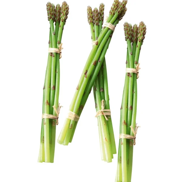 Gemüse & Kräuter^DecoWoerner spargel Lebensmittel-Attrappe, Pack à 4 Stück grün