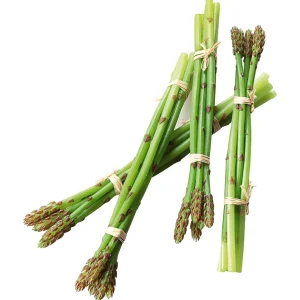 Gemüse & Kräuter^DecoWoerner spargel Lebensmittel-Attrappe, Pack à 4 Stück grün