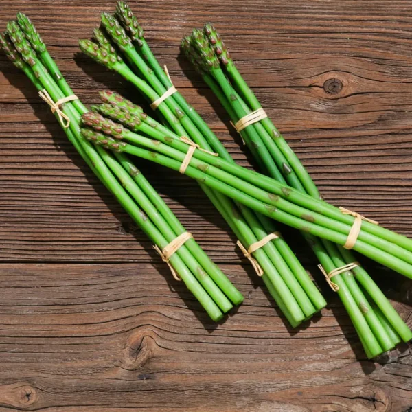 Gemüse & Kräuter^DecoWoerner spargel Lebensmittel-Attrappe, Pack à 4 Stück grün
