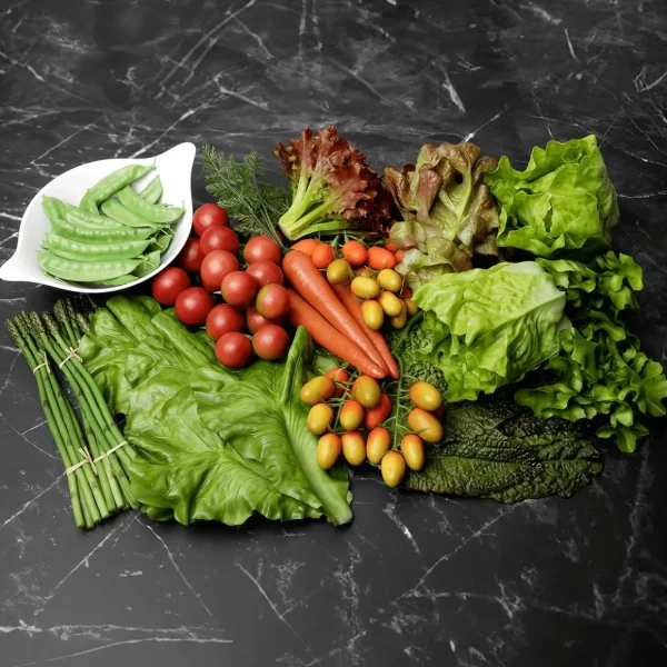 Gemüse & Kräuter^DecoWoerner spargel Lebensmittel-Attrappe, Pack à 4 Stück grün