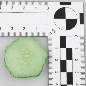 Gemüse & Kräuter^DecoWoerner Gurken-Scheibe Lebensmittel-Attrappe, 6 Stück grün