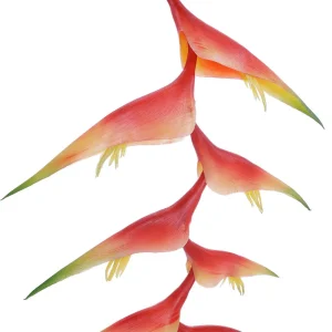 Kunstblumen^DecoWoerner Helikonie Hummerscheren Kunstblume 96 Cm orange