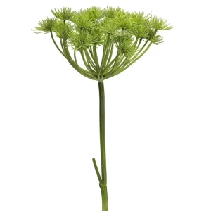 Kunstblumen^DecoWoerner Heracleum Riesen-Bärenklau Kunstpflanze 98 Cm grün