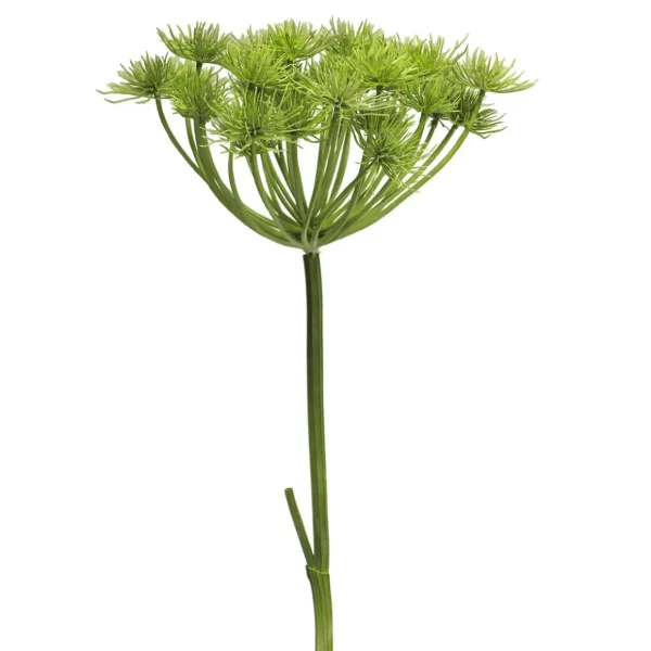Kunstblumen^DecoWoerner Heracleum Riesen-Bärenklau Kunstpflanze 98 Cm grün
