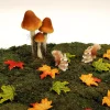 Herbstdeko^DecoWoerner Herbst Deko-Sparpaket Eichhörnchen Im Wald