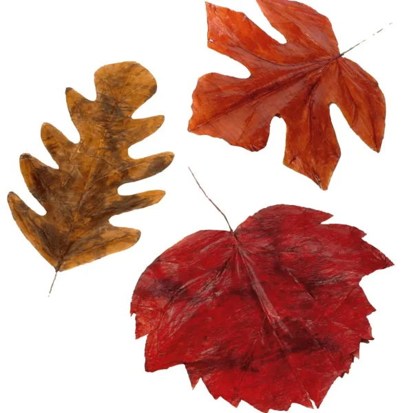 Herbstdeko | Blätter^DecoWoerner Herbstliche Kunstblätter 80 Cm, 3 Stück orange