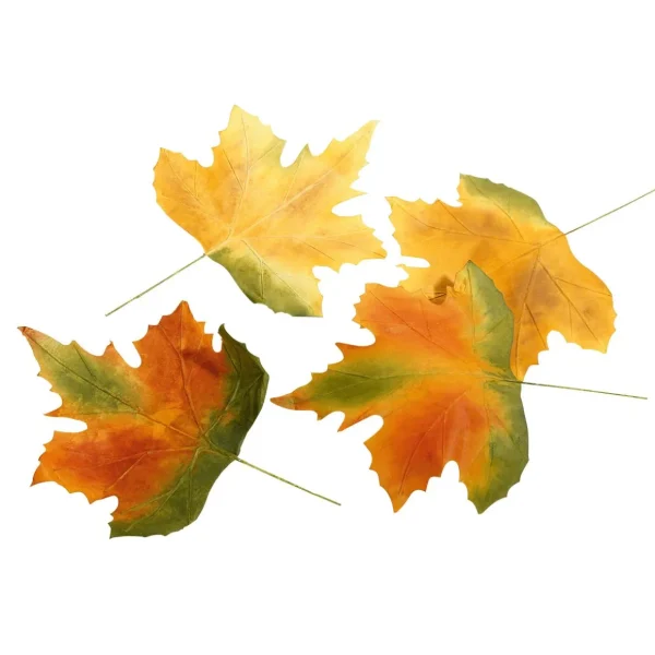 Herbstdeko | Blätter^DecoWoerner Herbstliche Kunstblätter 50 Cm, 4 Stück mehrfarbig