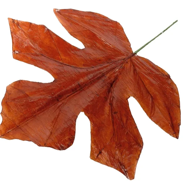 Herbstdeko | Blätter^DecoWoerner Herbstliche Kunstblätter 80 Cm, 3 Stück orange