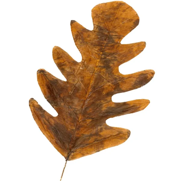 Herbstdeko | Blätter^DecoWoerner Herbstliche Kunstblätter 80 Cm, 3 Stück orange