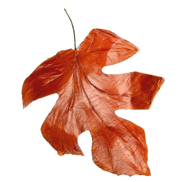 Herbstdeko | Blätter^DecoWoerner Herbstliche Kunstblätter 80 Cm, 3 Stück orange